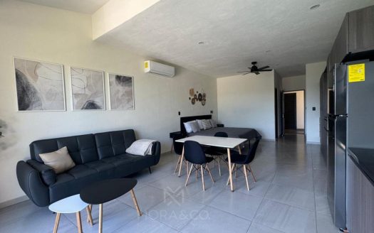 Departamentos en Venta Puerto Aventuras